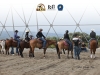 Prima Tappa Campionato Regionale di Reining CRHA 2026