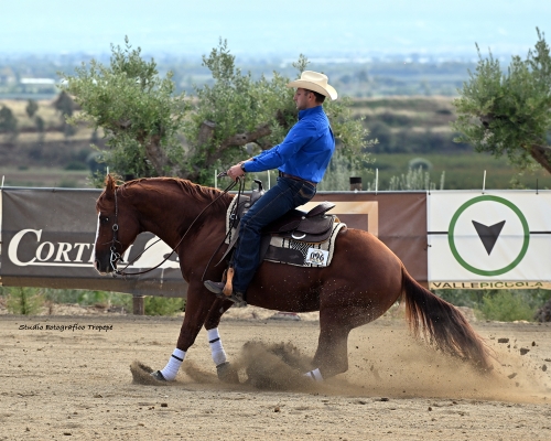 3 show CRHA 2026 - MATALONE DOMENICO &amp; SHARP SMART WOOD score 66,5