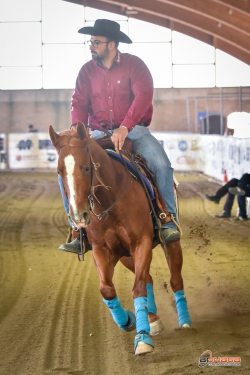 1 show CRHA 2025 - RONCONE VINCENZO &amp; REY SMART BLUE BOON score 69,5
