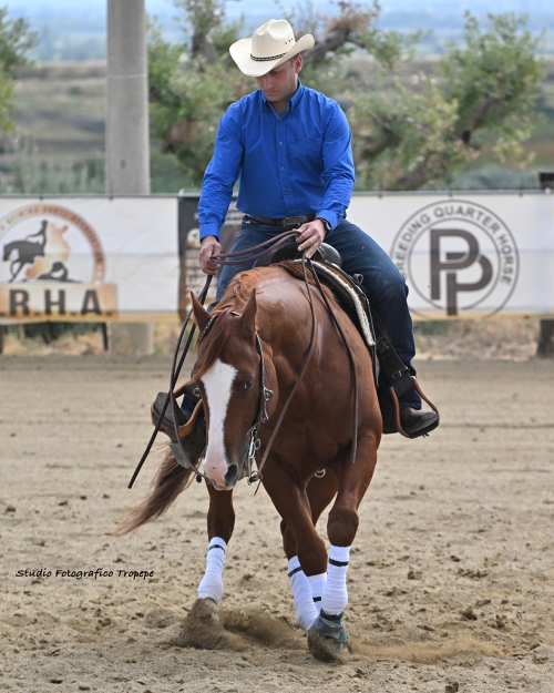 3 show CRHA 2026 - MATALONE DOMENICO &amp; SHARP SMART WOOD score 60,5